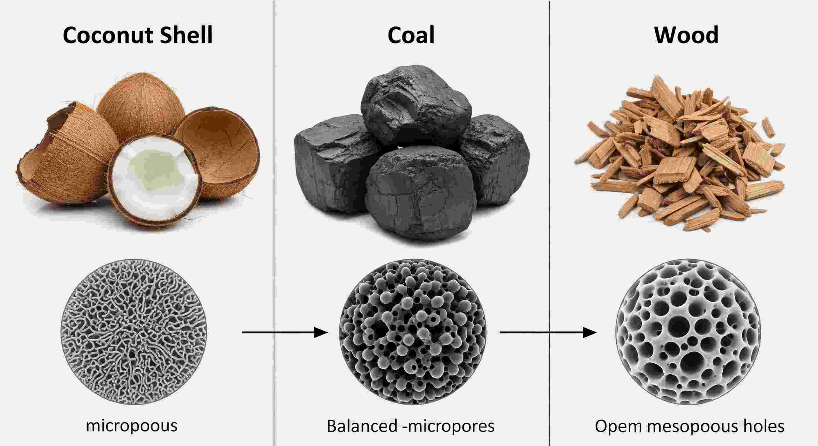 A visual comparison of activated carbon derived from coconut shells, coal, and wood, showing the distinct pore structures that result from each raw material.