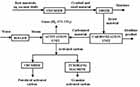 What Is Activated Carbon And How To Make Activated Carbon